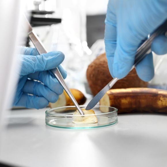 Radiological Testing – Monarch Biotech Private Limited
